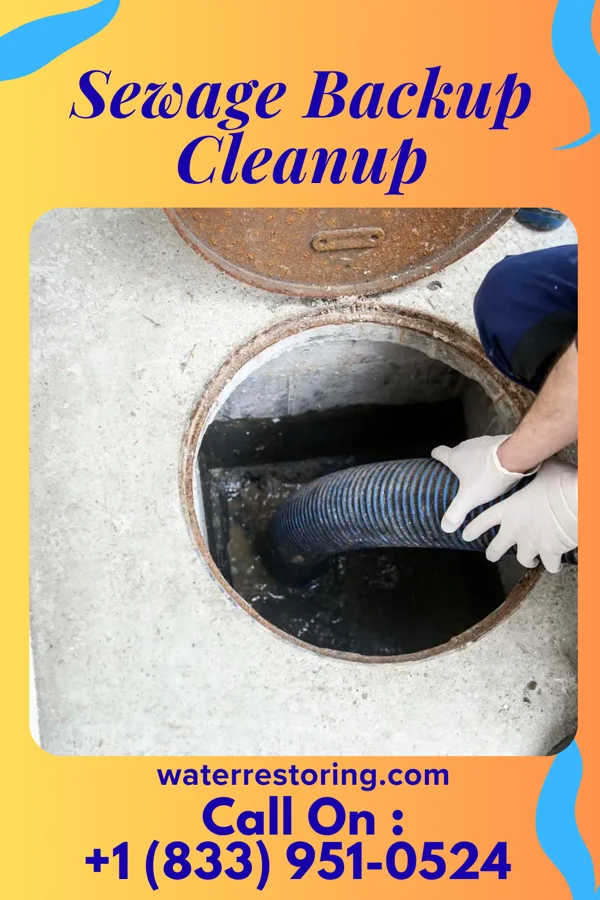 Sewage Backup Cleanup in Milan, OH