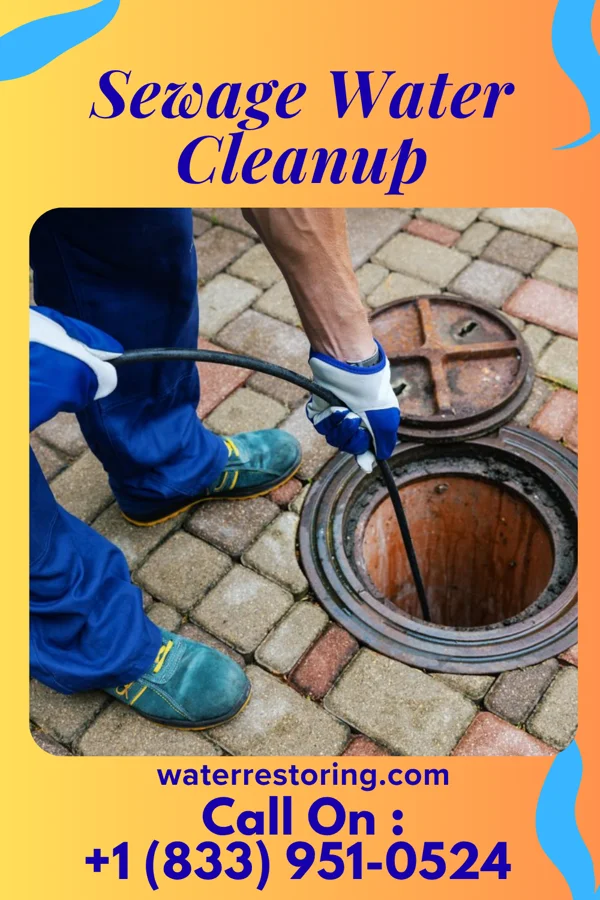 Sewage Water Cleanup in Milan, OH